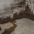How to Repair the Walls of Your Basement Shedding Concrete Blocks